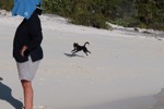 resIMG_20190704_165526_0955.JPG